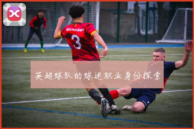 英超球队的球迷职业身份探索