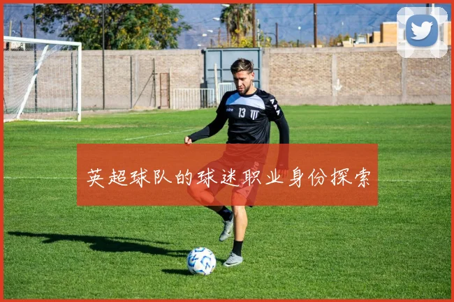 英超球队的球迷职业身份探索